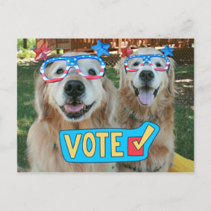 Golden Retrievers in Onafhankelijkheidsdagstemming Briefkaart