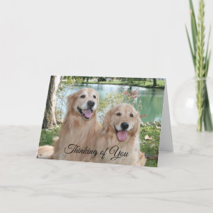 Golden Retrievers in The Park Thinking of You Kaart