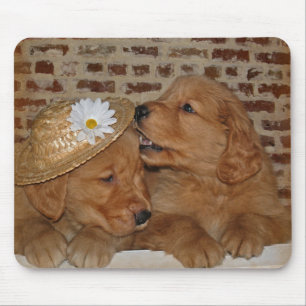 Golden Retrievers Muismat