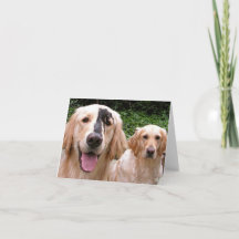 Golden Retrievers Peter Fox en Moeder Dankkaart
