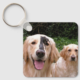 Golden Retrievers Peter Fox et porte-clés Maman