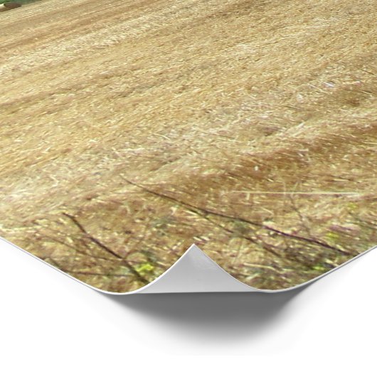 Golden Rolls van Hay en Deep Blue Zee Design Poster (Hoek)