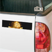 Golden roos (gouden roos) bumpersticker (Op Truck)