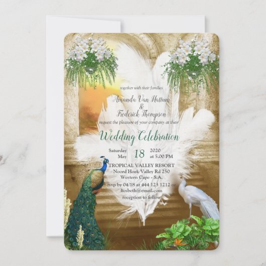 Golden Royal White Peacock Feathers Kaart (Voorkant)