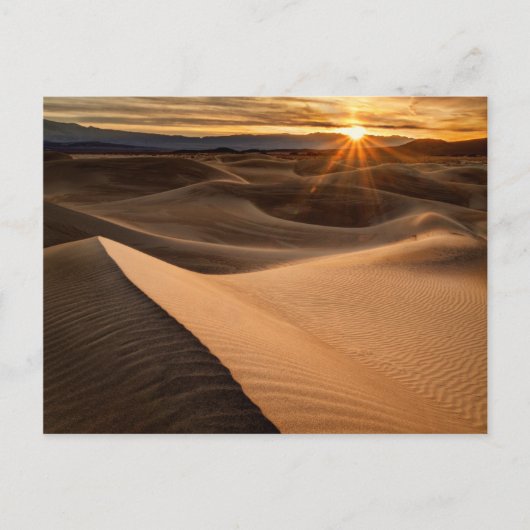 Golden Sand dunes, Death Valley, CA Briefkaart (Voorkant)