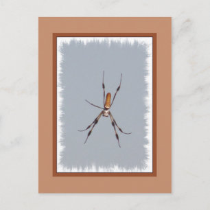 Golden Silk Orb-Weaver Briefkaart