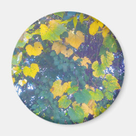 GOLDEN SLOT OP MAGNEET