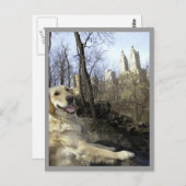 Golden Smile in the Central Park Ramble Briefkaart (Voorkant / Achterkant)