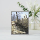 Golden Smiles in Central Park Ramble Carte postale (Debout devant)