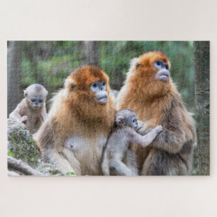 Golden Snub-nosed-aams Legpuzzel