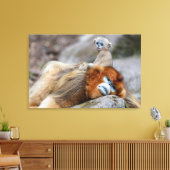 Golden Snub-nosed aap met Baby Canvas Afdruk (Insitu (Woonkamer))