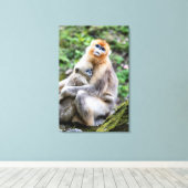 Golden Snub-Nosed aap met Baby Canvas Afdruk (Insitu (Houten vloer))