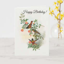 Golden Star-frontlet Kaart