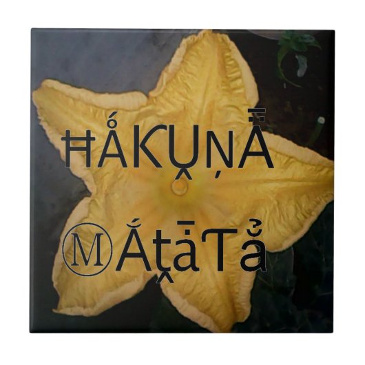 Golden Star Hakuna Matata Kunstdruk Tegeltje (Voorkant)