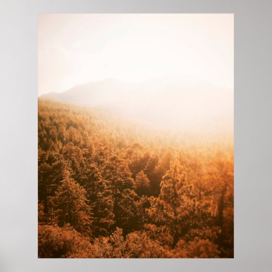 GOLDEN SUN OVER A FOREST POSTER (Voorkant)