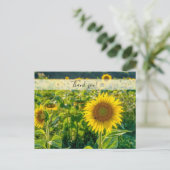 Golden Sunflower Field Hartelijk dank Briefkaart (Staand voorkant)