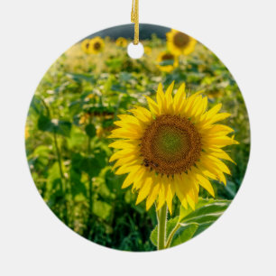 Golden Sunflower Field Keramisch Ornament