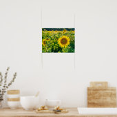 Golden Sunflower Field Poster (Keuken)