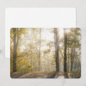 Golden sunlight through autumn trees feestdagenkaart (Voorkant / Achterkant)
