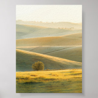 Golden Sunrise bij Rolling Hills Poster