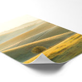 Golden Sunrise bij Rolling Hills Poster (Hoek)