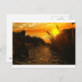 Golden Sunset Briefkaart (Voorkant / Achterkant)