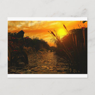 Golden Sunset Briefkaart