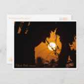Golden Sunset Garden Ubud – Art Postcard Briefkaart (Voorkant / Achterkant)