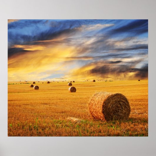 Golden Sunset Over Boerderij Field Poster (Voorkant)
