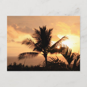 Golden Sunset Tropical Briefkaart