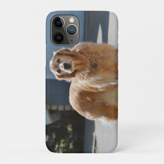 Golden Sunshine Case-Mate iPhone Case (Achterkant)