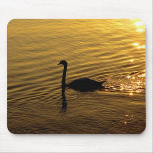 Golden Swan Muismat