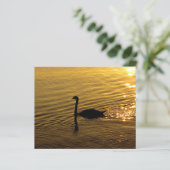 Golden Swan Paper (Staand voorkant)