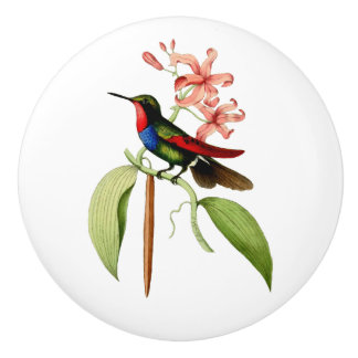Golden Tailed Sapphire Hummingbird Keramische Knop