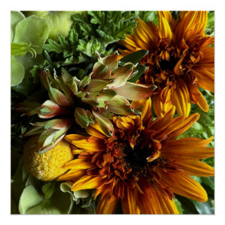 Golden Teddy Bear Sunflower & Alstroemeria Poster Perfect Poster