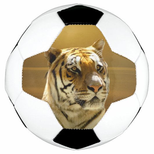 Golden Tiger Voetbal (Voorkant)