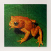GOLDEN TOAD LEGPUZZEL (Verticaal)