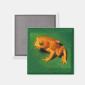 Golden Toad Magnet Magneet (Voorkant / Achterkant)