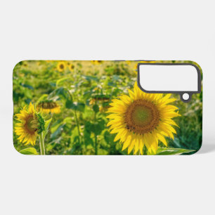 Golden Tournesol Field Samsung Galaxy Coque