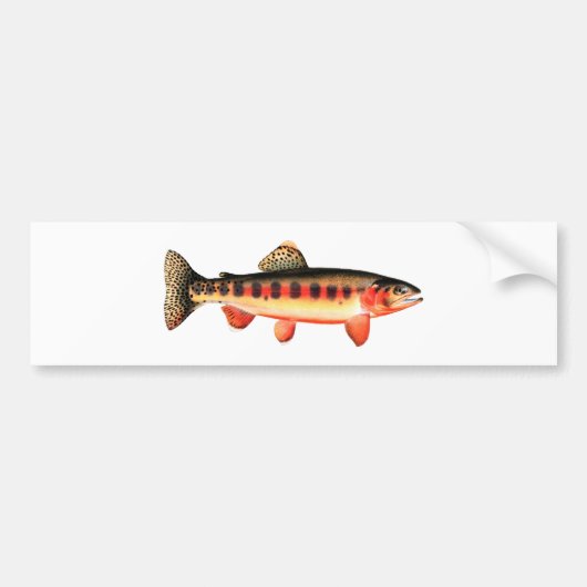 Golden Trout Bumpersticker (Voorkant)