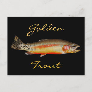 Golden Trout, Oost-Sierra Gevist, Briefkaart
