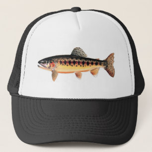 Golden Trout Pet
