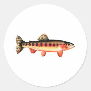 Golden Trout Ronde Sticker