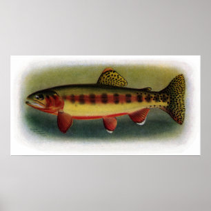 Golden Trout van Volcano Creek Poster