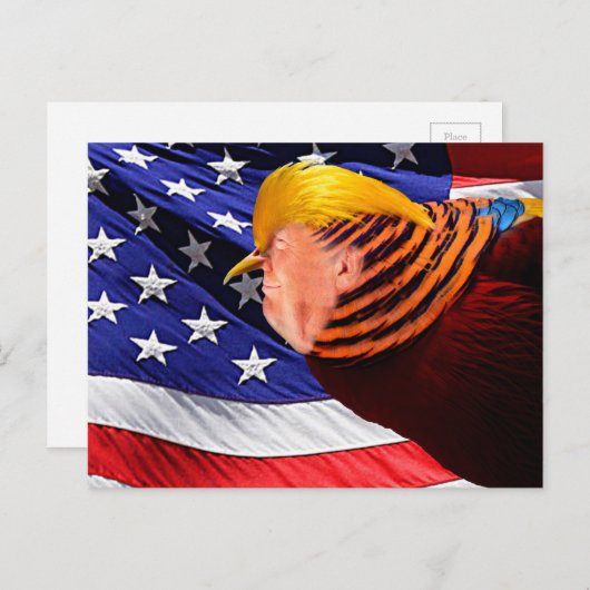 Golden Trump Bird USA Briefkaart (Voorkant / Achterkant)