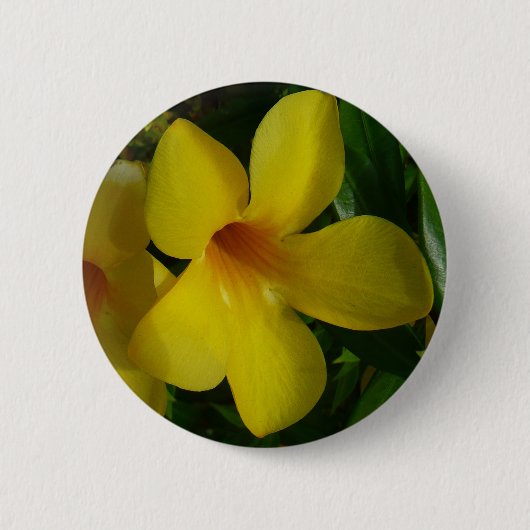 Golden Trumpet Flowers II Tropisch Ronde Button 5,7 Cm (Voorkant)