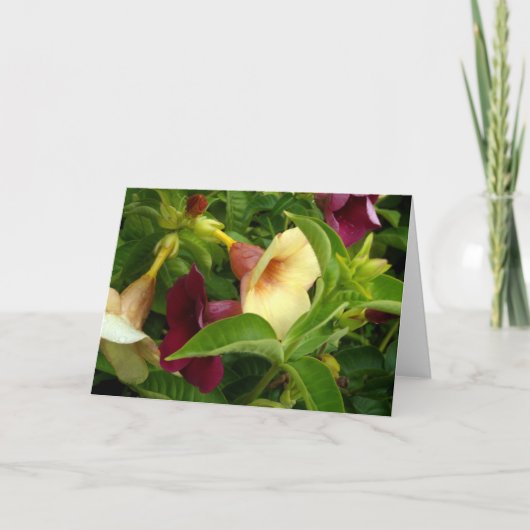 Golden Trumpet Kaart (Voorkant)