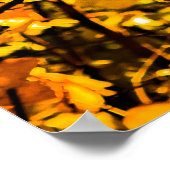 Golden veins in het najaar poster (Hoek)