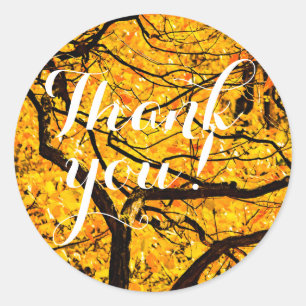 Golden veins in het najaar ronde sticker