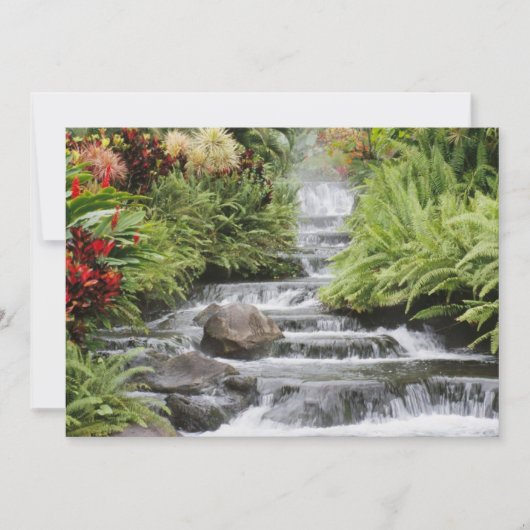 Golden Waterfall (Voorkant)